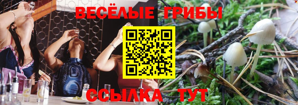 Конаково  Галлюциногенные грибы Psilocybine cubensis  как найти закладки  Вход с VPN 